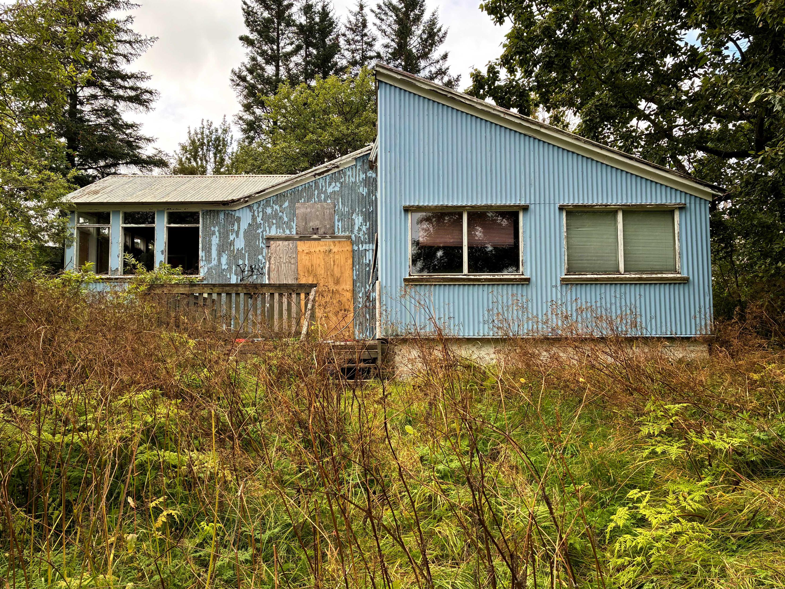 An abandoned house surrounded by a lot of plants.