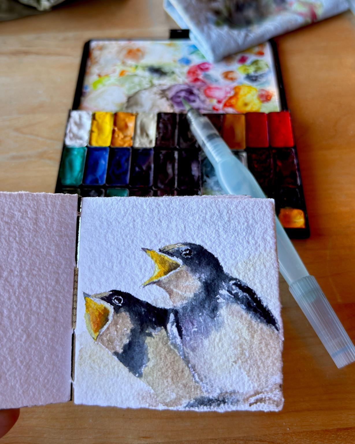 Watercolor painting of two young swallows with beaks wide open, on textured cold press paper. Deep blue-black heads and wings, tan chests, bright yellow-orange mouths. Soft washes fade into bare white paper at the edges.