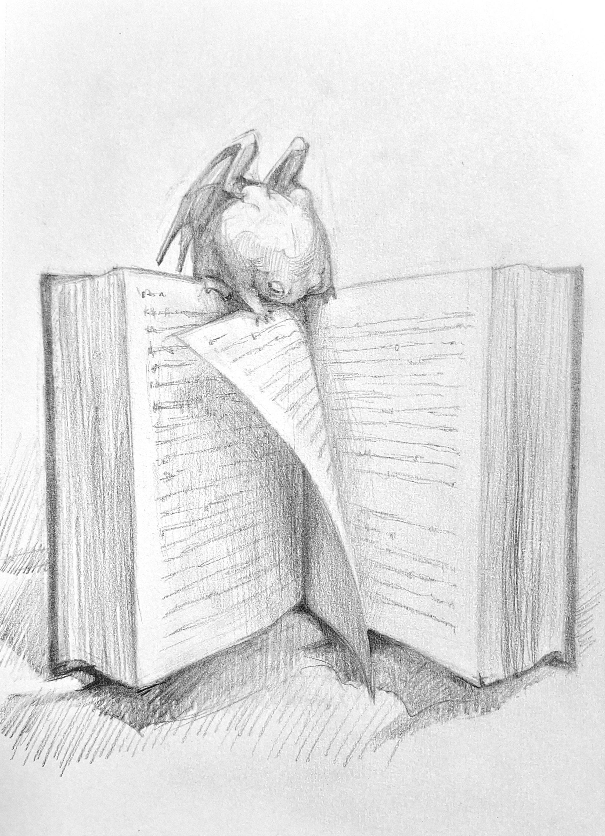 Pencil drawing of a frog dragon turning the page of a large book.