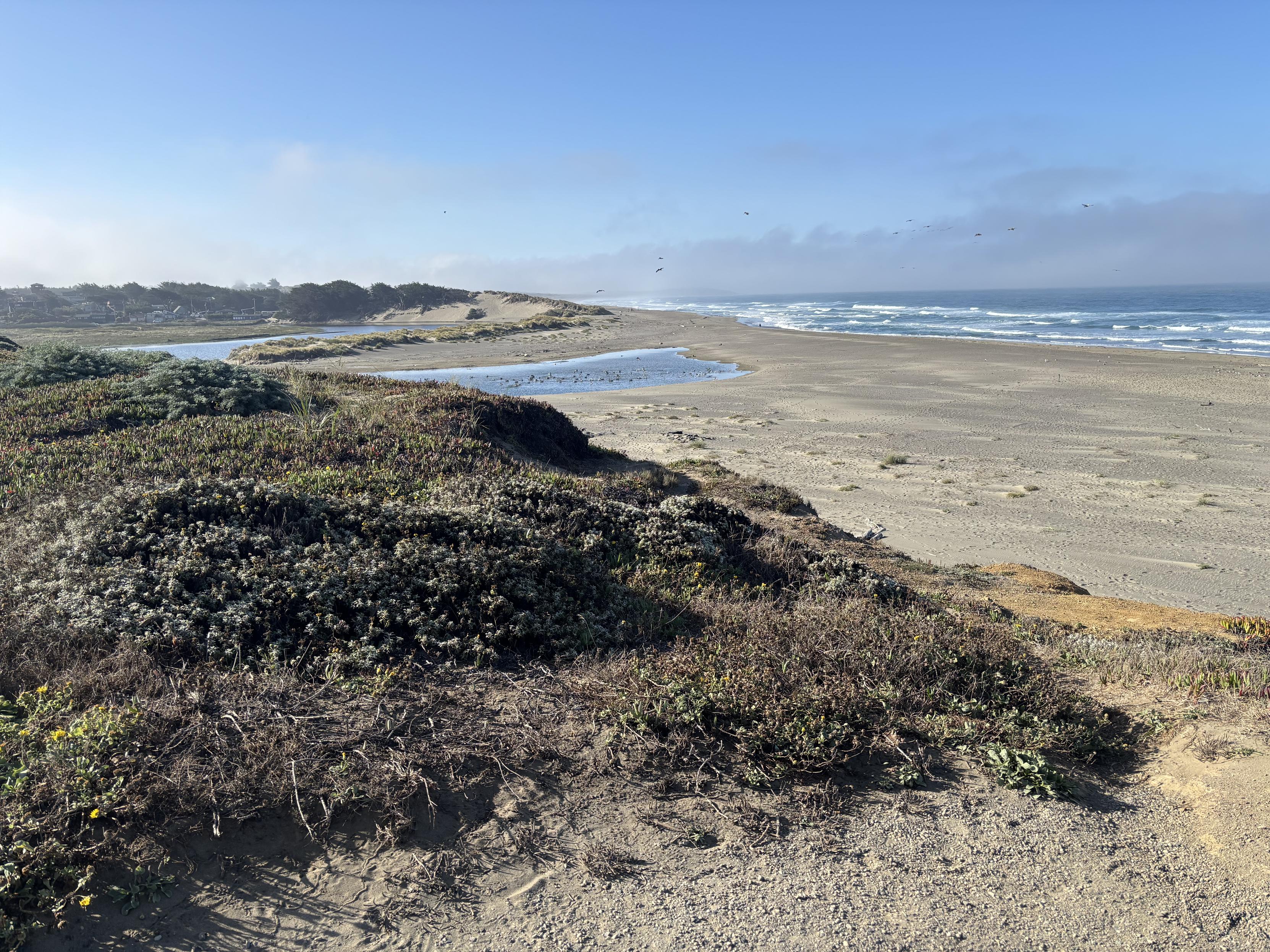 North Salmon Creek beach, near Bodega Bay California
