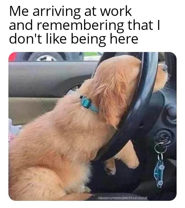 Photo of a puppy resting up against a car steering wheel Caption: Me arriving at work and remembering that I don't like being here