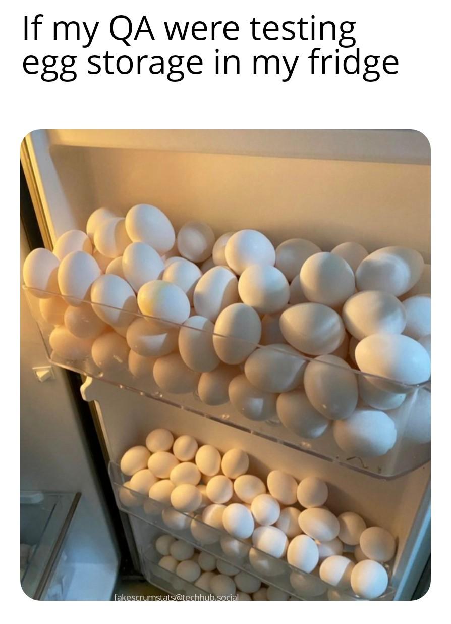 Photo of a fridge door full of eggs. Caption: If my QA were testing egg storage in my fridge