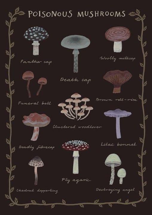 This image is an artistic botanical illustration chart titled "POISONOUS MUSHROOMS" featuring 12 hand-drawn fungal species labeled with their common names.