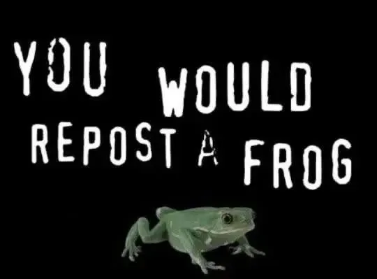 Parody of the "You wouldn't steal a car" anti-piracy PSA from the early 2000s. Instead the text says "You would repost a frog" and it shows a photo of a green…