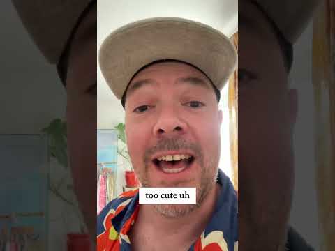 International Cat Day 2025 #shorts - International Cat Day 2025 #shorts