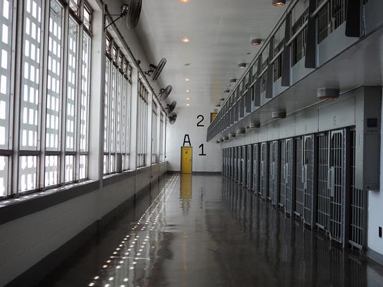 Trans people in Georgia prisons are being forced to detransition. Now they’re suing. - Trans people in Georgia prisons are being forced to detransition. Now they’re suing.