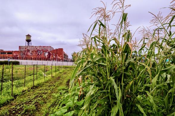 Keep Growing Detroit fundraises to buy Eastern Market property, aims for ‘food sovereign city’ - Keep Growing Detroit fundraises to buy Eastern Market property, aims for ‘food sovereign city’