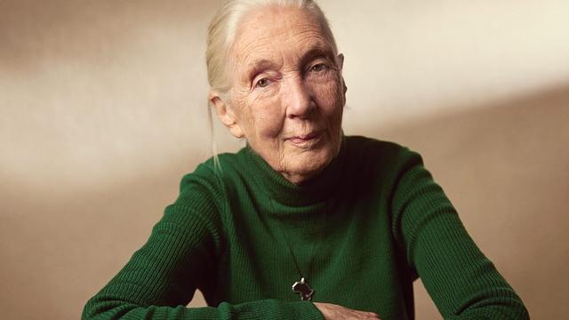 At 91, legendary chimpanzee researcher Jane Goodall comes to Detroit with a message of hope - At 91, legendary chimpanzee researcher Jane Goodall comes to Detroit with a message of hope