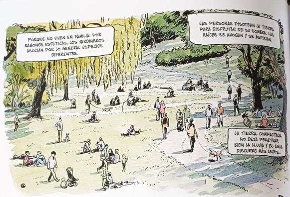 Descubramos en el aula la vida secreta de los árboles - Descubramos en el aula la vida secreta de los árboles