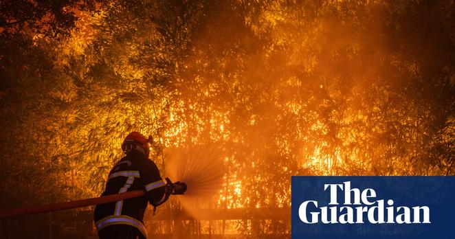 #Europe burns: a graphical guide to the #wildfires  #climate