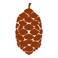 :pinecone: