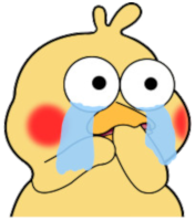 :0004: