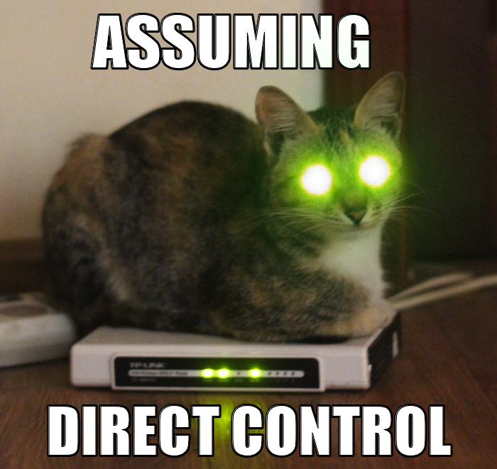 Control кошка. Assuming Control. Assuming direct Control. Assuming direct Control meme. Assuming предложения.