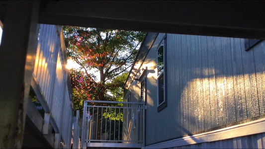 the sun shines through the trees onto a mobile building, illuminating a spider-web in vibrant colors