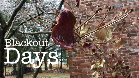 A frozen leaf still on the branch