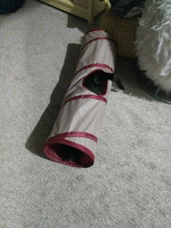 Dash the black cat is in a tunnel thingy that has a hole midway. His head is sticking out of the tunnel slightly as he is hunched over to pounce, but his tail is just sticking out of that mid hole like an idiot.