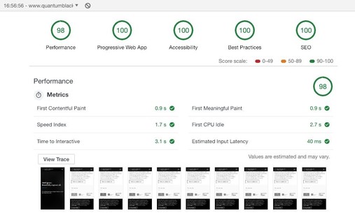 Lighthouse audit score: 498 out of of 500