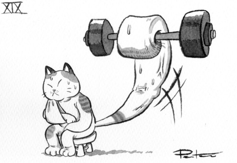A calico cat with an arm injury has found a way to exercise and increase their muscle mass.