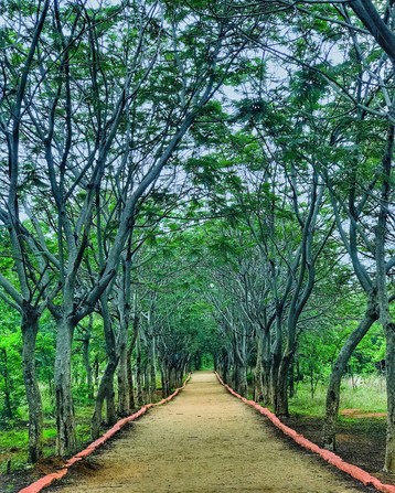 Kandlakoya Oxygen Park, Hyderabad 