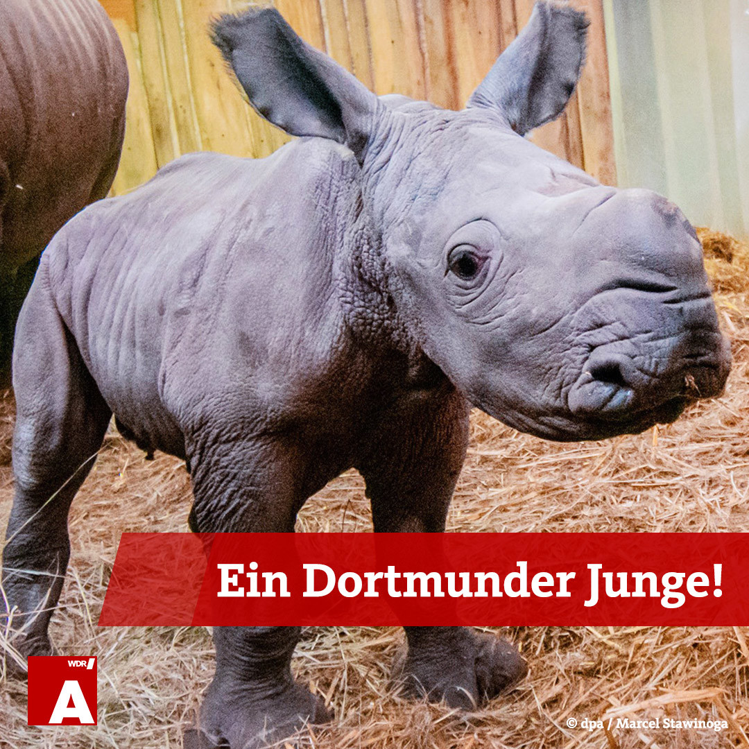 Bild/Foto