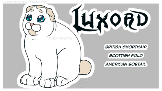 Cute cat art of a mixed breed designed after Luxord from Kingdom Hearts