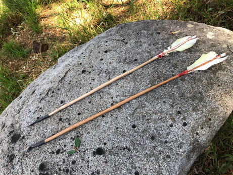 two arrows on a rock. top one is australian ash, bottom some sort of hard eucalyptus. 