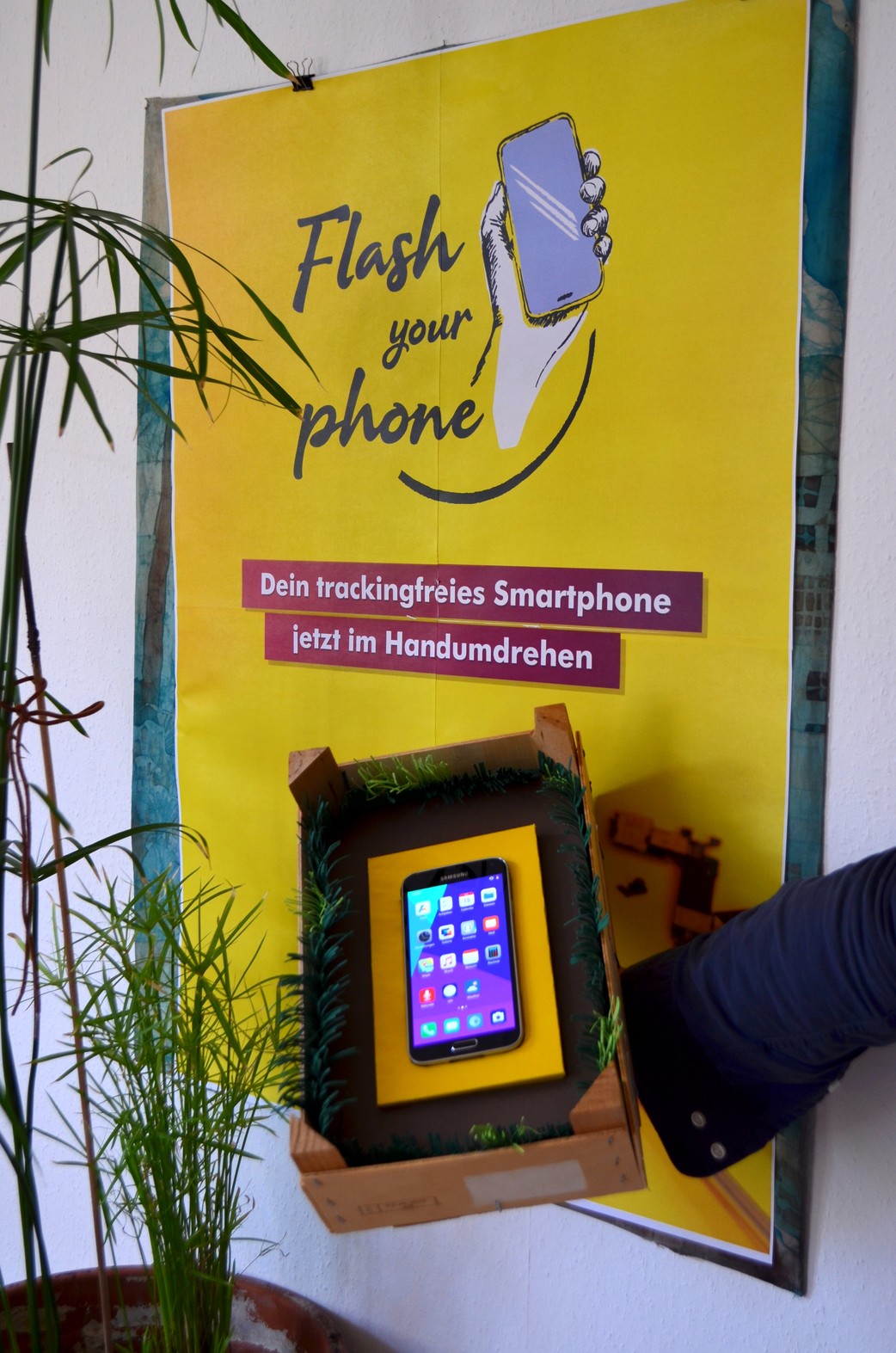 Bild/Foto