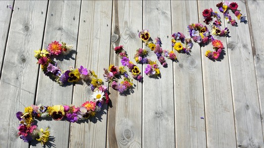 "Solskogen" formed out of various sorts of spring/summer flowers.