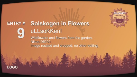 Slide for Entry #9 for the Solskogen Logo compo: Solskogen in Flowers by uLLsoKKen!
"Wildflowers and flowers from the garden. 
Nikon D5200
Image resized and cropped, no other editing."