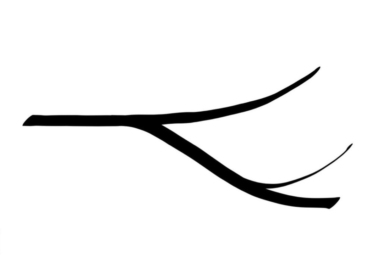 Image/photo