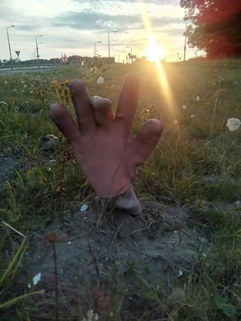 A glove sticking out if the grass. Some of the fingers are slightly bent, as if it's grasping for something.