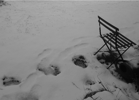 Snowy surface and a chair.