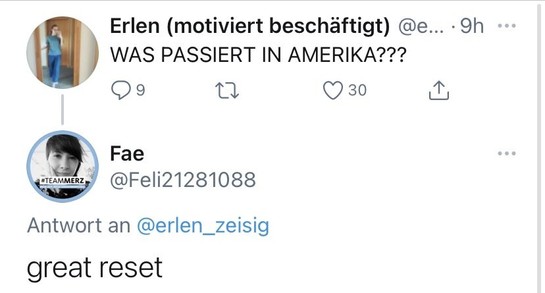 Kleiner TeamMerz-Fake-Account Feli21281088 antwortet auf die Frage “Was passiert in Amerika?” mit “great reset”.