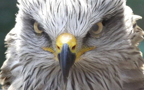 «Con Tacto», reportaje fotográfico por Juan Peláez Gómez (Fotografía por Juan Peláez ©)