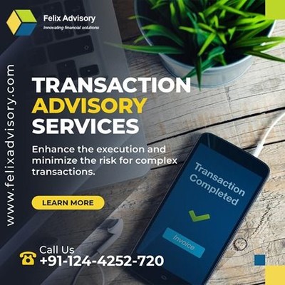 Transaction Advisory Services
