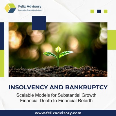 INSOLVENCY AND BANKRUPTCY - Felix Advisory