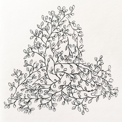 Square Photo of a triskel that is just indicated by the branches of foliage. 