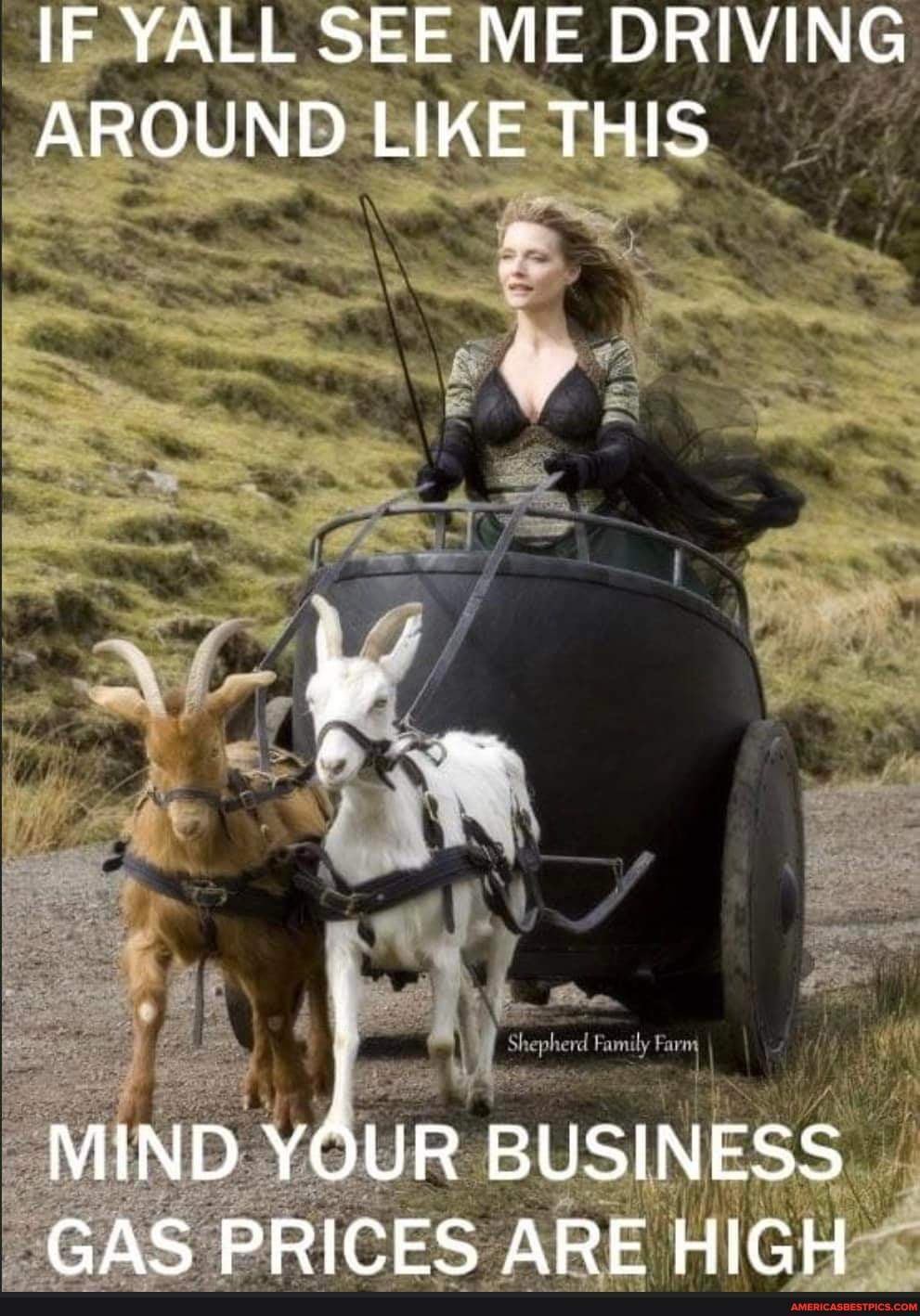 A woman rides a Roman chariot pulled by two goats, one white and one tan and both with horns. The meme has the words: "If yall see me driving around like this, mind your business gas prices are high
