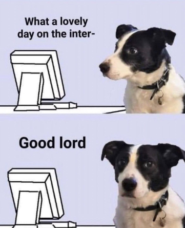 Dog looking at computer. "what a lovely day on the internet'

Dog looks to camera: "Good Lord"