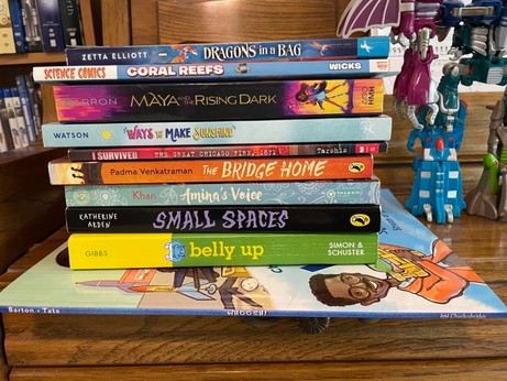 Stack of middle grade books: Whoosh, Belly Up, Small Spaces, Amina’s Voice, The Bridge Home, I Survived the Great Chicago Fire, Ways to Make Sunshine, Maya and the Rising Dark, Scoence Comics: Coral Reefs, Dragons in a Bag