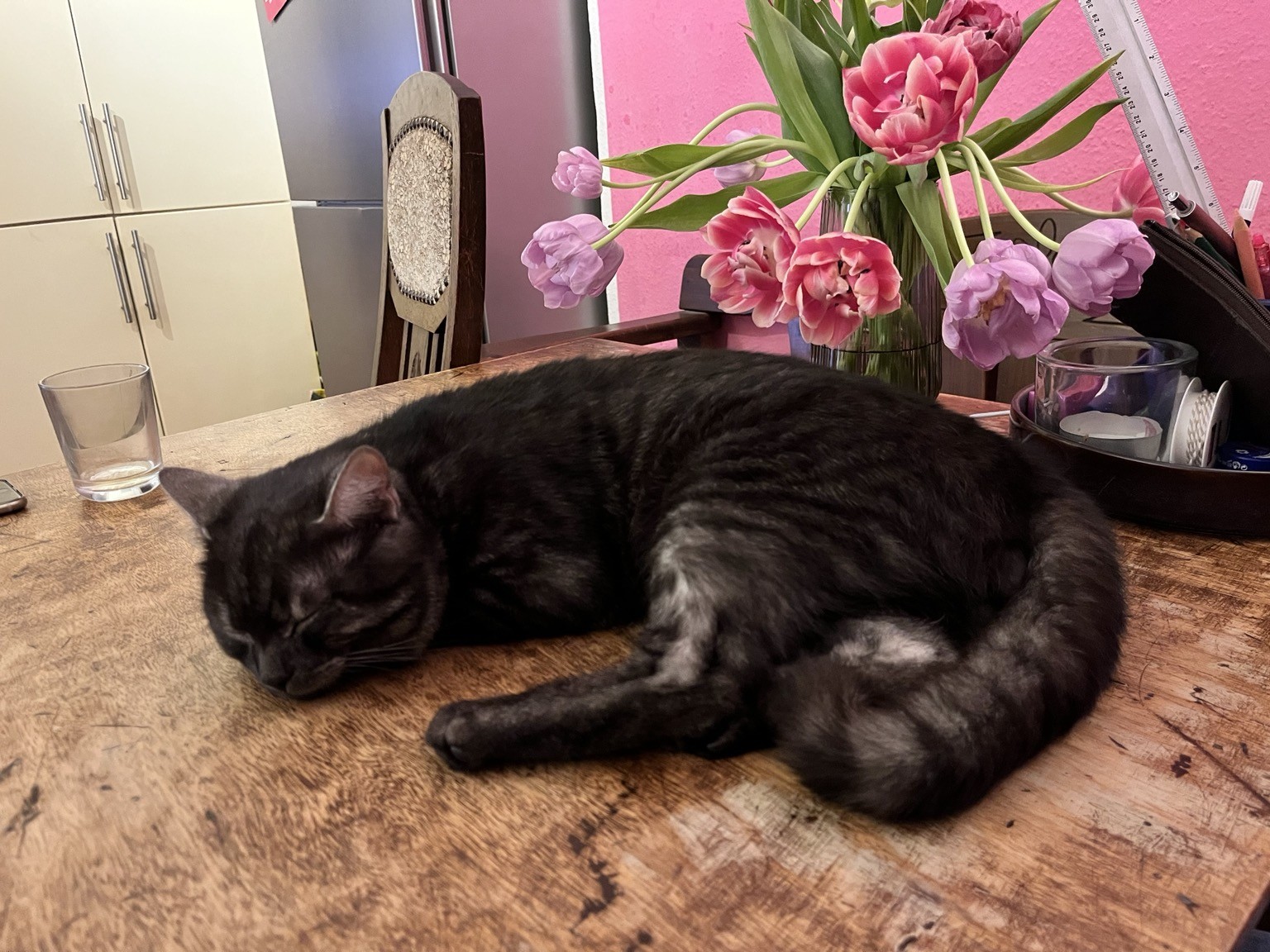 Katze auf Tisch vor Blumenstrauß