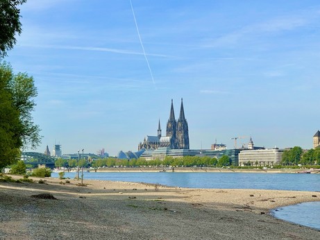Kölner Dom vom Rheinpark aus fotografiert