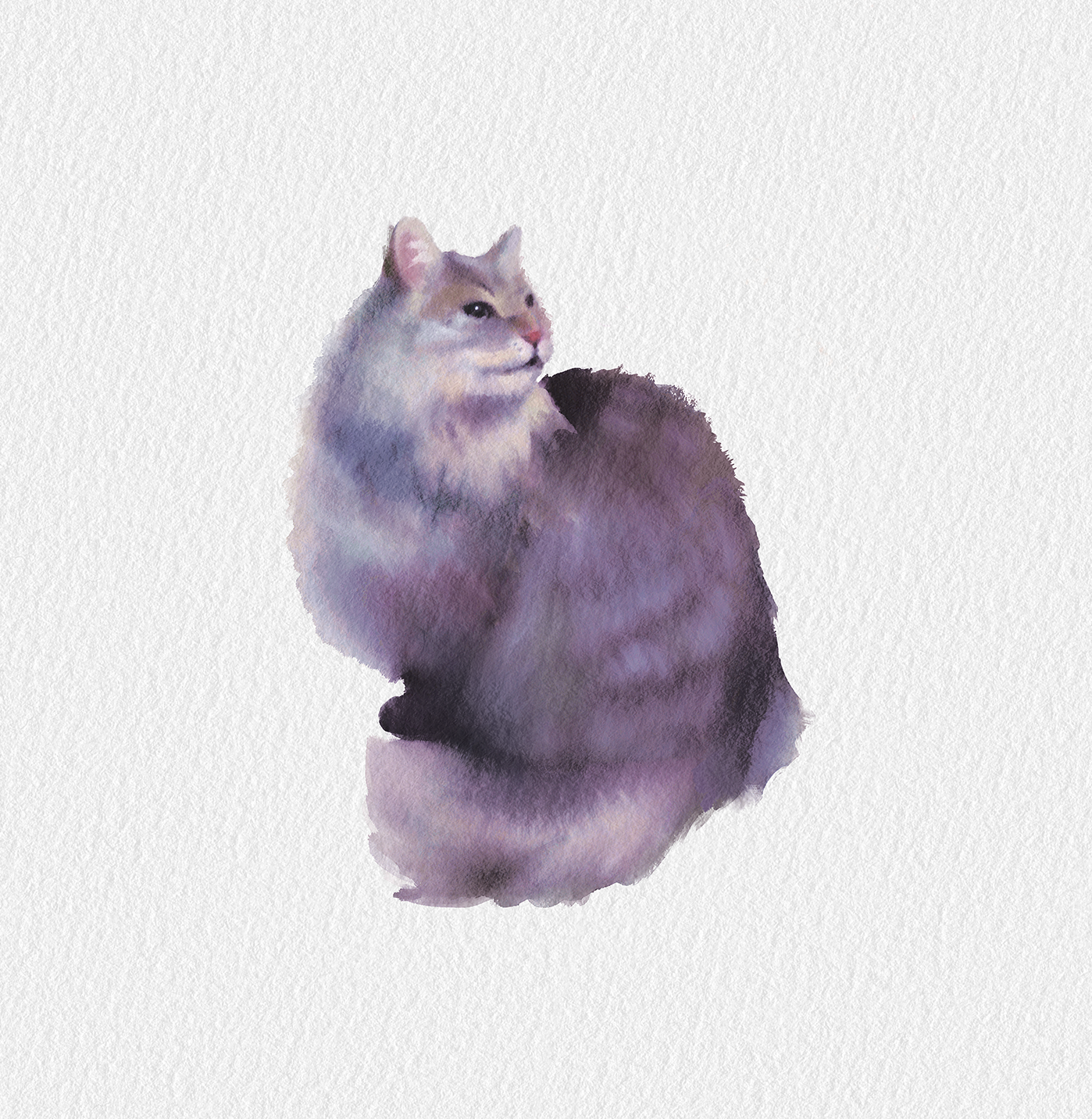 Watercolor of a gentle looking cat, looking at its side and waiting for something (probably food or scritches)