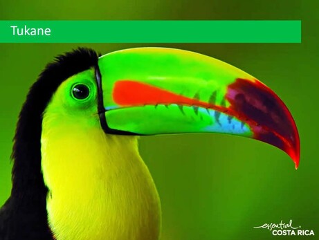 #CostaRica: Das tolle #Reiseziel, Natur pur