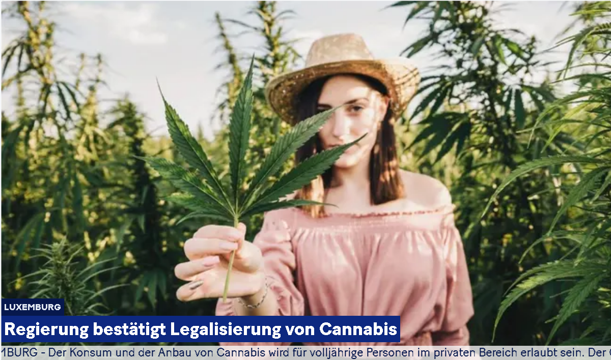 LUXEMBURG. Die Regierung von Xavier Bettel schreitet bei der geplanten Legalisierung von Cannabis im Großherzogtum voran, wie L’essentiel berichtet.