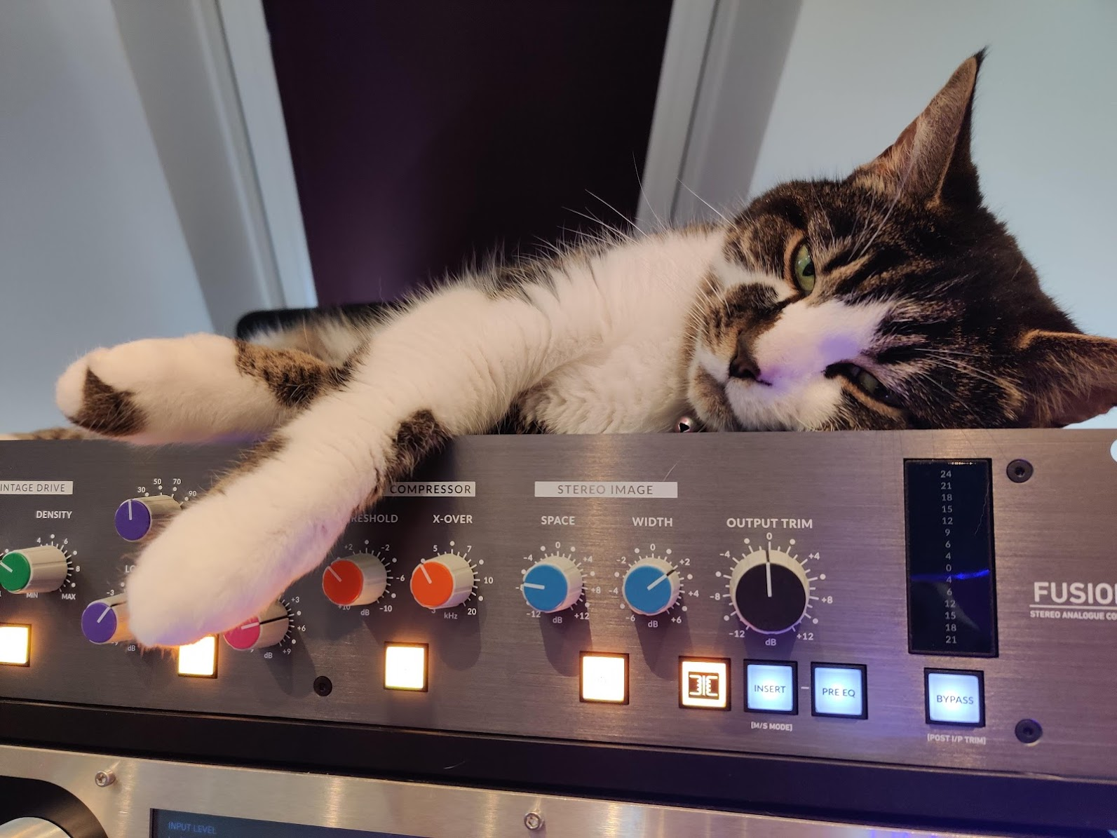 Patch the studio cat, lying on a nice warm piece of Studio equipment