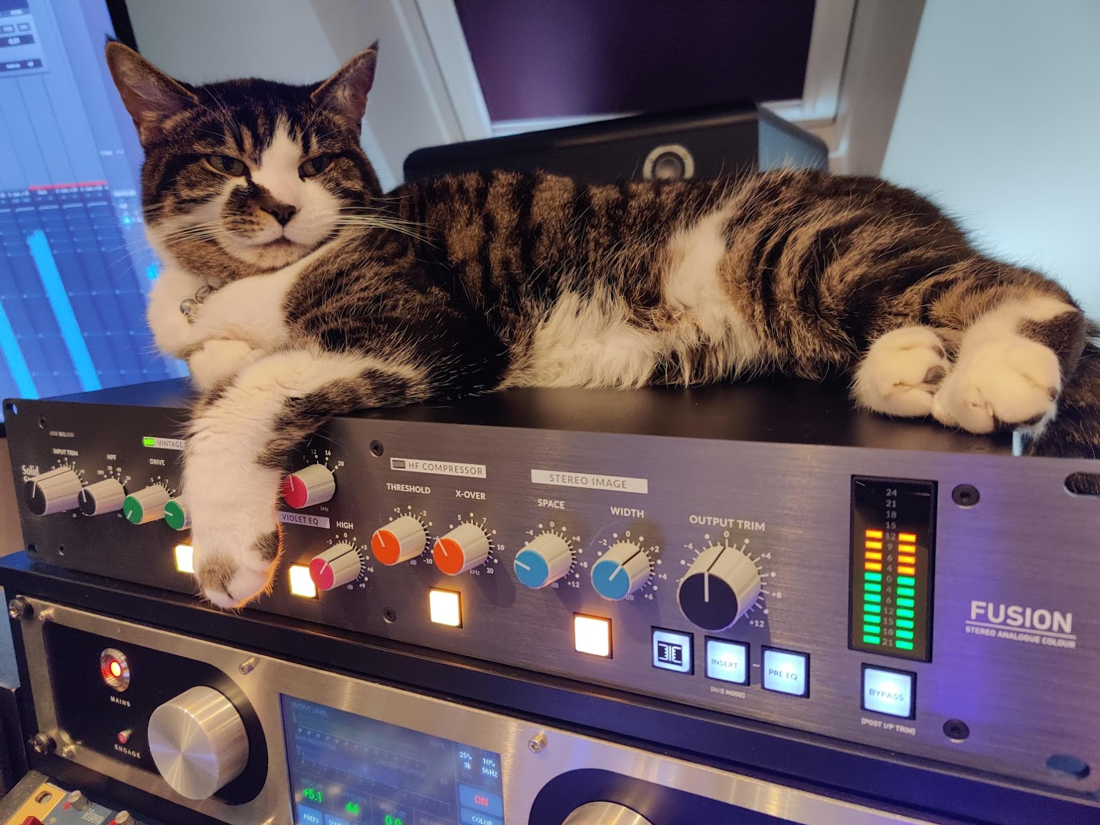 Patch the studio cat, lying on a nice warm piece of Studio equipment
