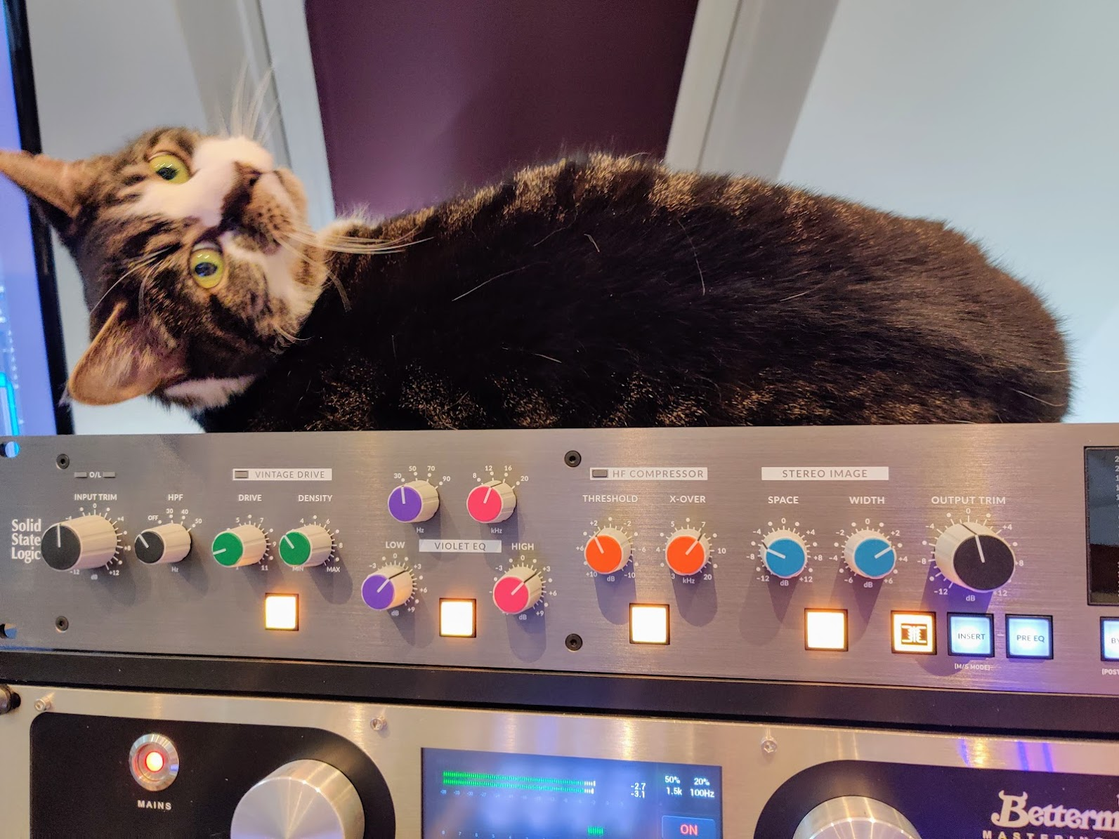 Patch the studio cat, lying on a nice warm piece of Studio equipment facing back