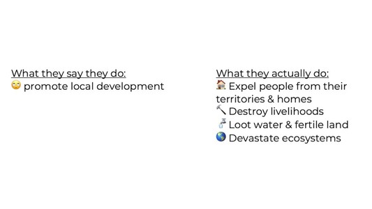 What they say they do:
🙄 promote local development

What they actually do:
🏠 Expel people from their territories & homes
🔨 Destroy livelihoods
🚰 Loot water & fertile land 
🌎 Devastate ecosystems
