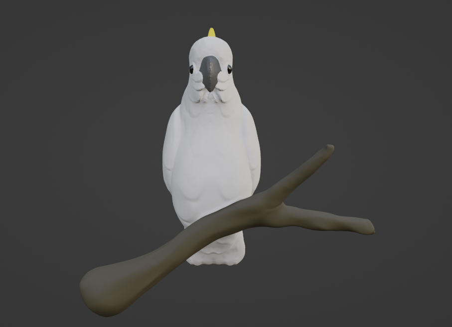 A front-view of the cockatoo sculpt with coloured materials